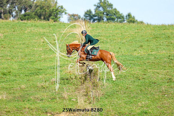 25Waimutu-8280