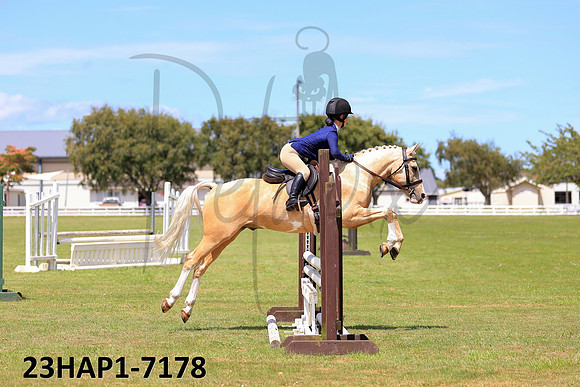 23HAP1-7178