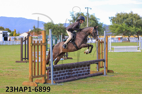 23HAP1-6899