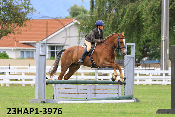 23HAP1-3976