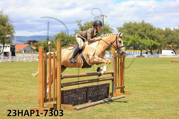 23HAP1-7303