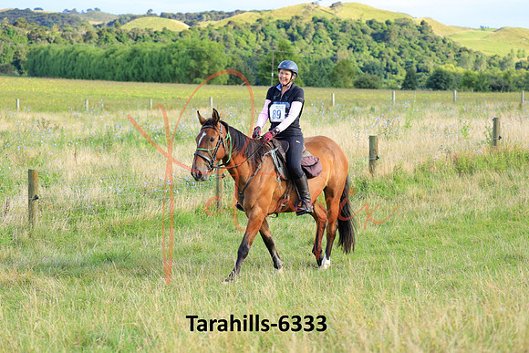 Tarahills-6333