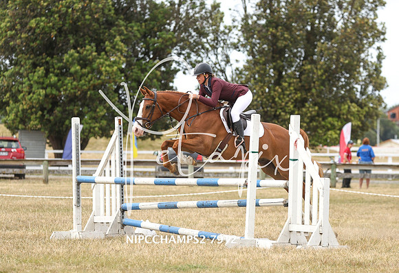 NIPCCHAMPS2-7912