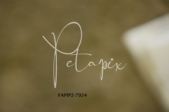 FAPIP2-7924