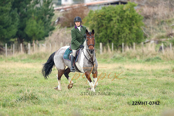 22MHT-0742