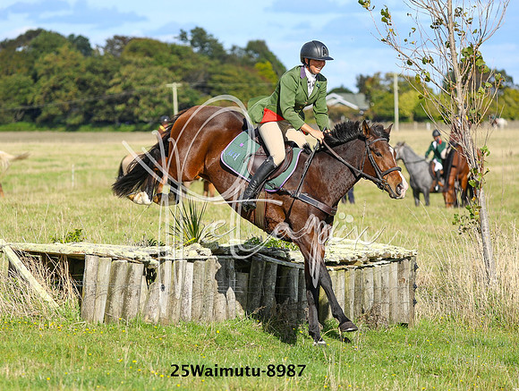 25Waimutu-8987