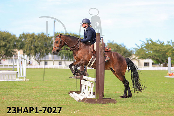 23HAP1-7027
