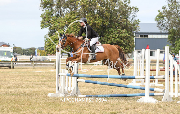 NIPCCHAMPS2-7894