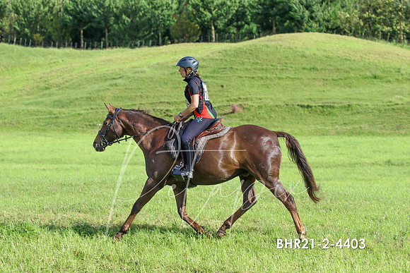 BHR21-2-4403