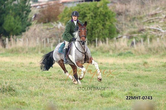 22MHT-0743