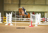 FAPIP3-0340