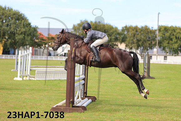 23HAP1-7038