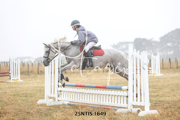 25NTIS-1649