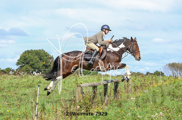 25Waimutu-7929