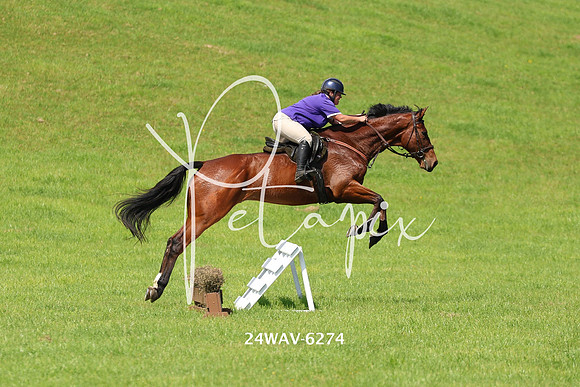 24WAV-6274