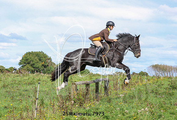 25Waimutu-7973