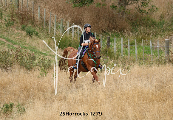 25Horrocks-1279