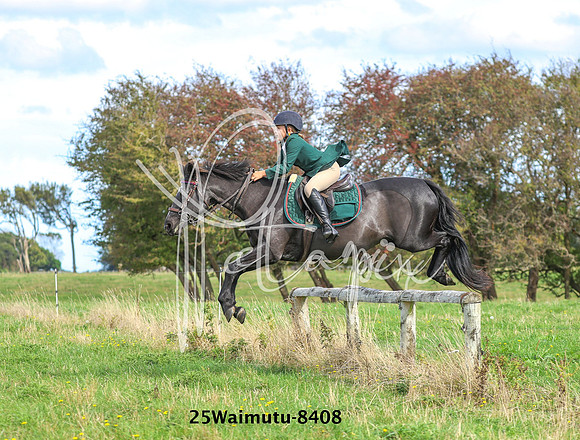 25Waimutu-8408