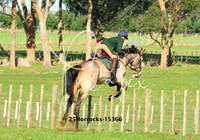 25Horrocks-15366