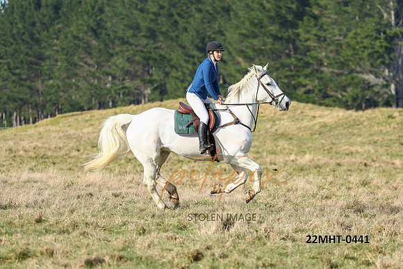 22MHT-0441