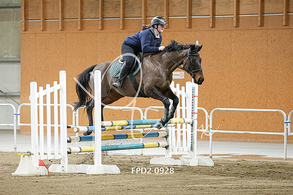 FPD2-0928
