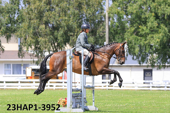 23HAP1-3952