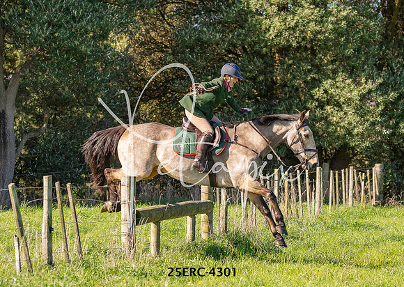 25ERC-4301