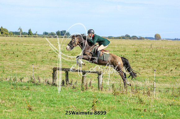 25Waimutu-8899
