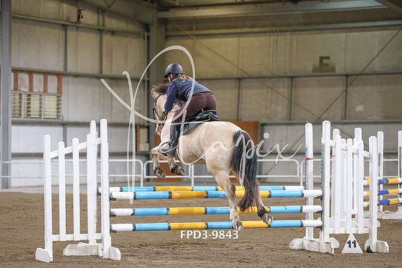 FPD3-9843