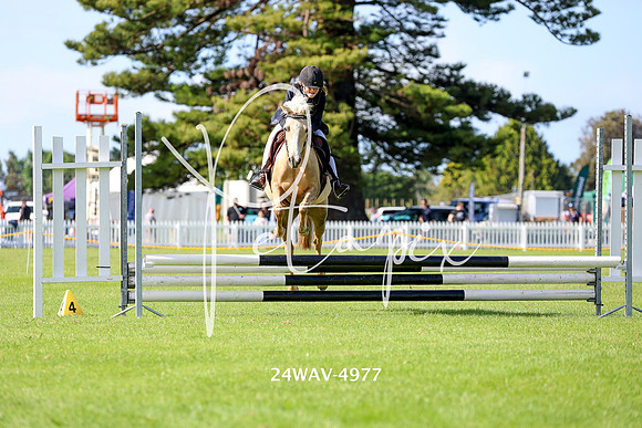 24WAV-4977