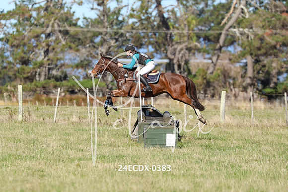 24ECDX-0383