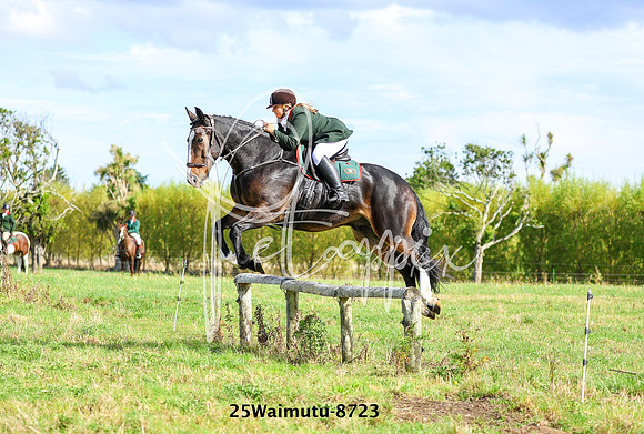 25Waimutu-8723