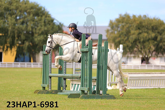 23HAP1-6981