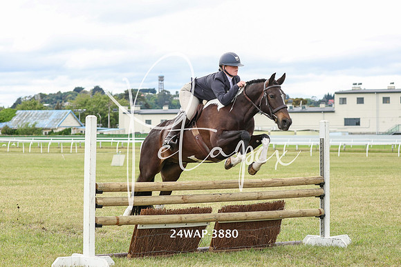 24WAP-3880