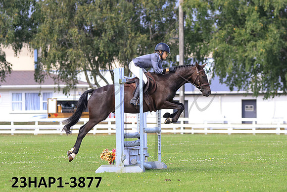 23HAP1-3877
