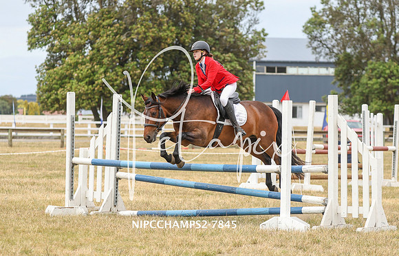 NIPCCHAMPS2-7845