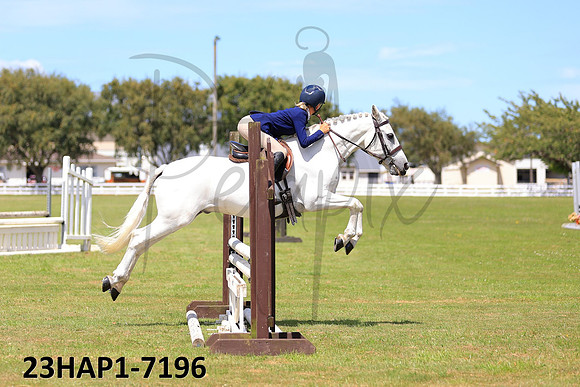 23HAP1-7196