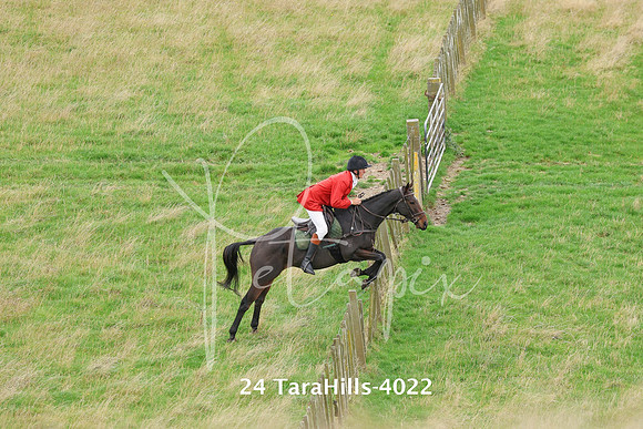 24 TaraHills-4022