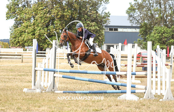 NIPCCHAMPS2-7948
