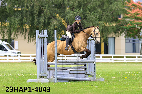 23HAP1-4043