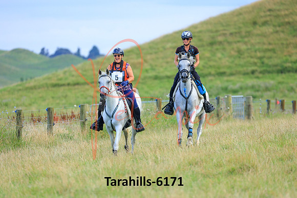 Tarahills-6171