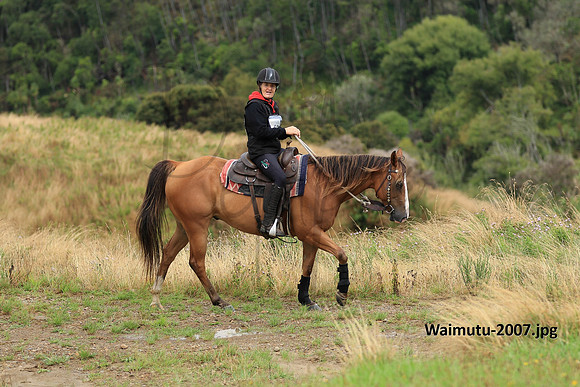 Waimutu-2007