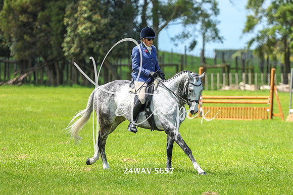 24WAV-5657
