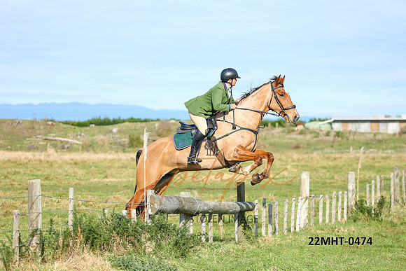 22MHT-0474