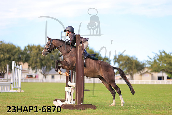 23HAP1-6870