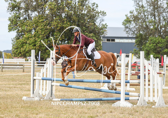 NIPCCHAMPS2-7908