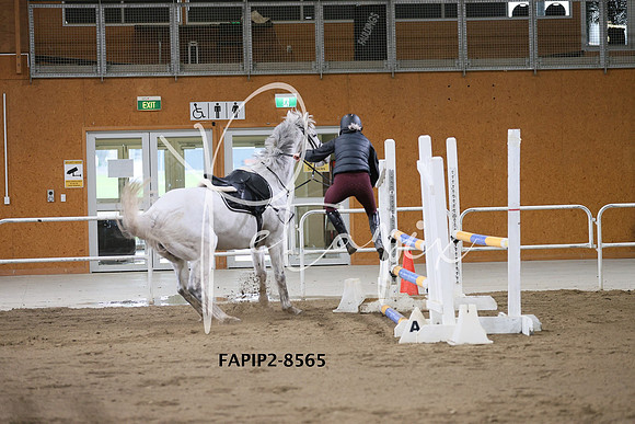 FAPIP2-8565