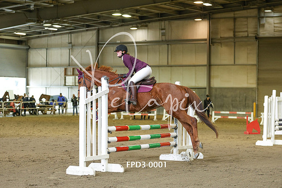 FPD3-0001
