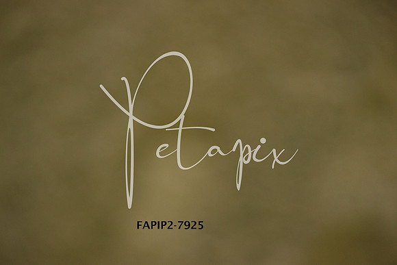 FAPIP2-7925