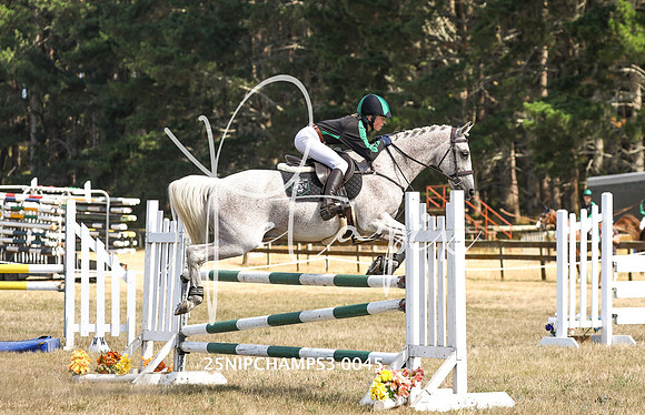 25NIPCHAMPS3-0045
